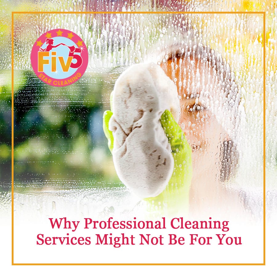 Why Professional Cleaning Services Might Not Be For You