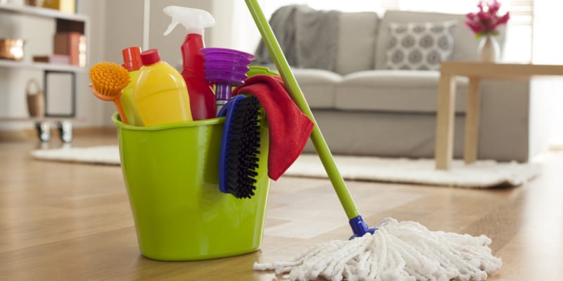 have a lot of experience with house cleaning services