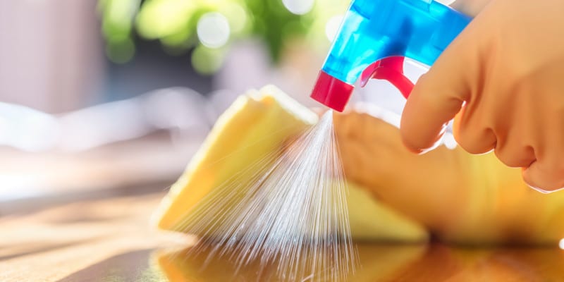 Why So Many People are Hiring Professional Cleaning Services