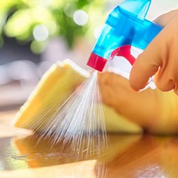 Cleaning Services